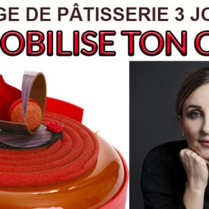 entremets et petits gâteaux 7/8/9 OCTOBRE 2022