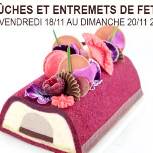 BÛCHES ET ENTREMETS DE FÊTE NOVEMBRE 2022